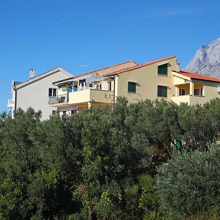 Apartment Mileta 马卡尔斯卡 外观 照片